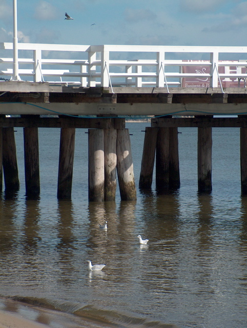 Fotoj de Gdańsk-Oliwa kaj Sopot - EEK-18, Pelplin