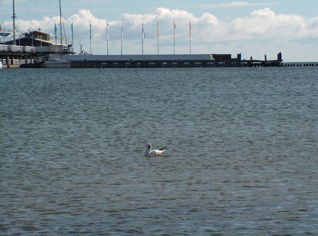 Fotoj de Gdańsk-Oliwa kaj Sopot - EEK-18, Pelplin