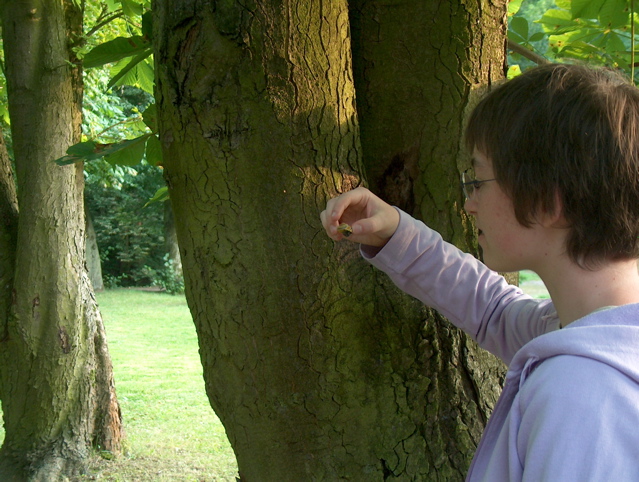 En Pelplin, la pluva julio venigis multajn helikojn...